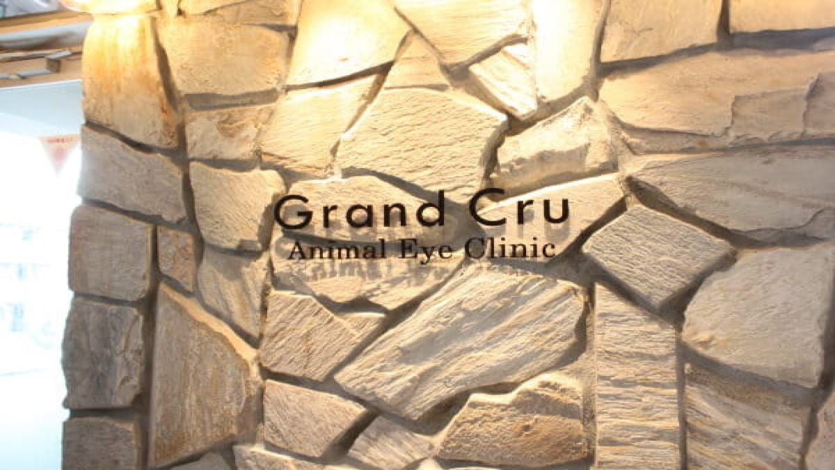 Grand Cru Animal Eye Clinic