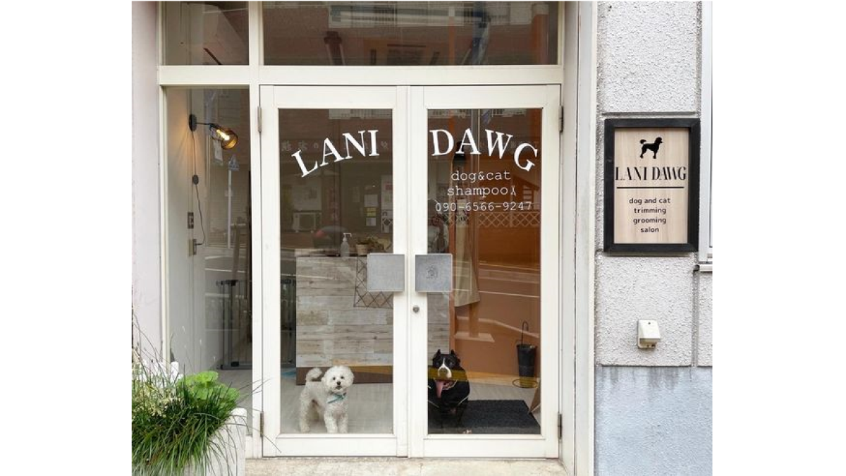 LANI DAWG