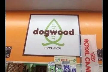 dog wood l