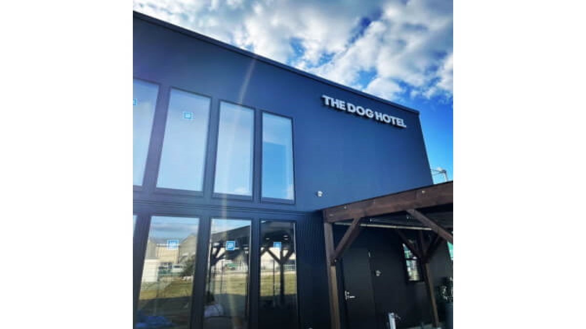 THE DOG HOTEL