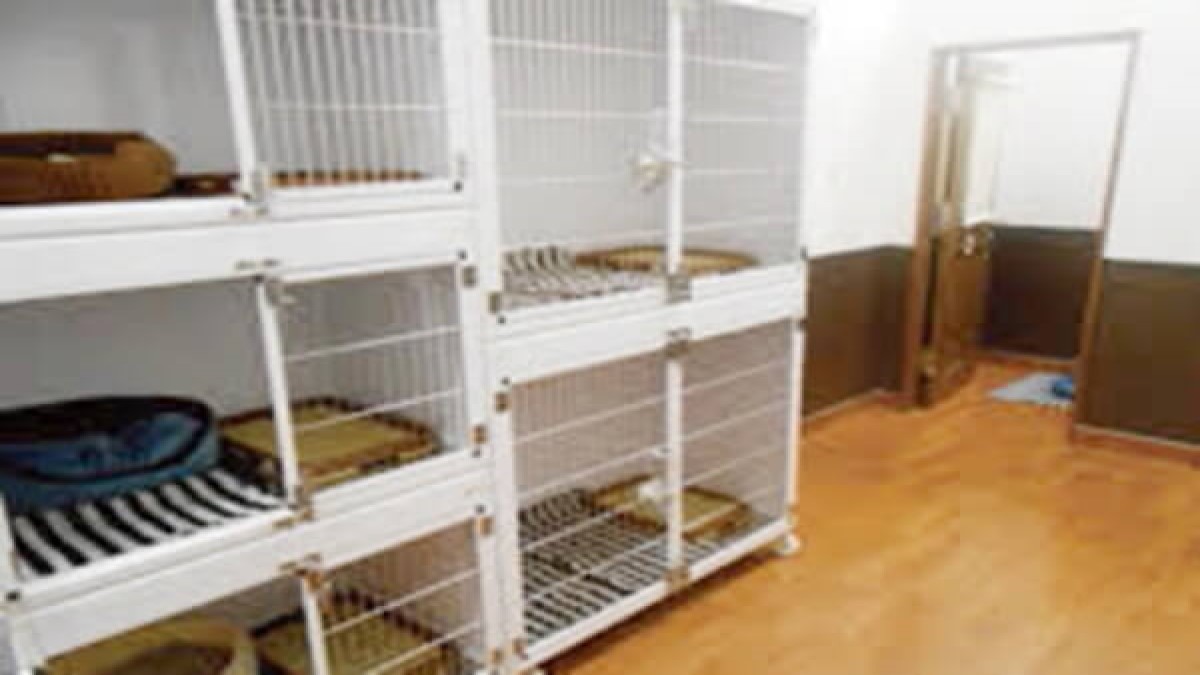 ワンラブ ゆめタウン光の森店