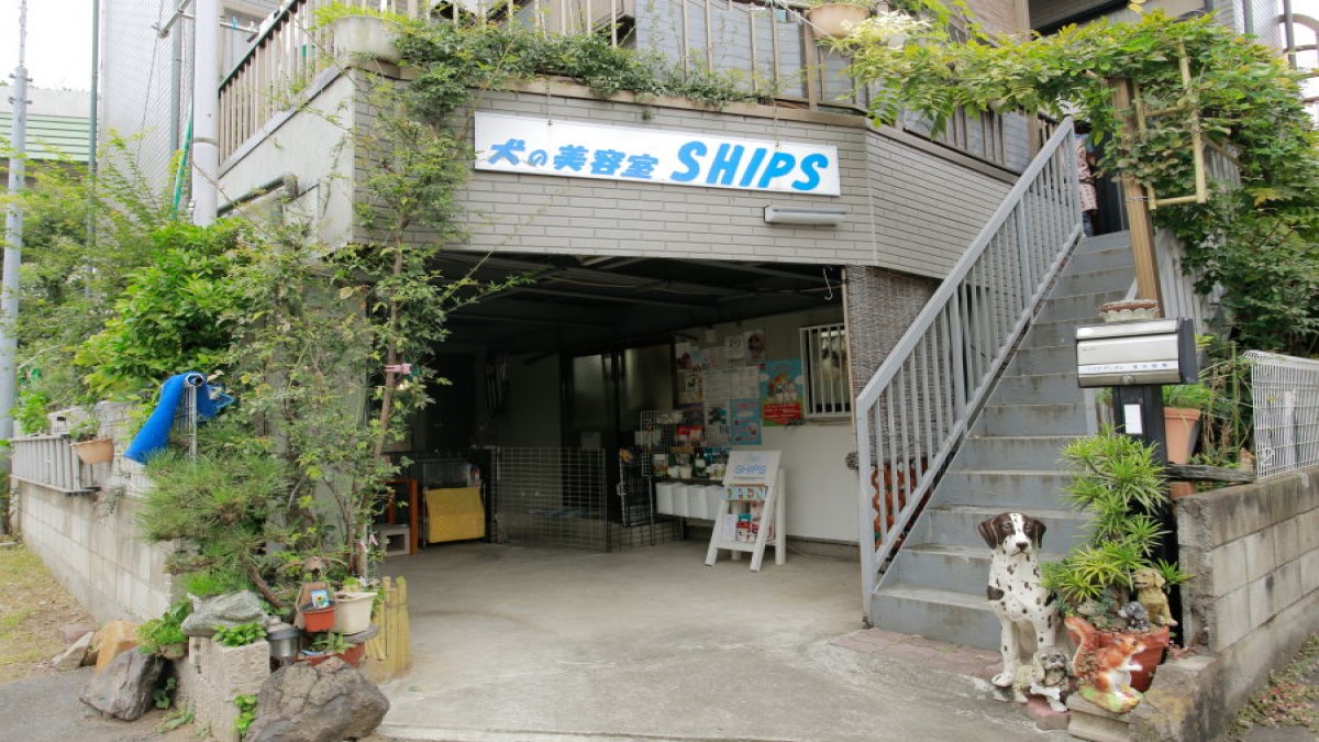 犬の美容室 SHIPS