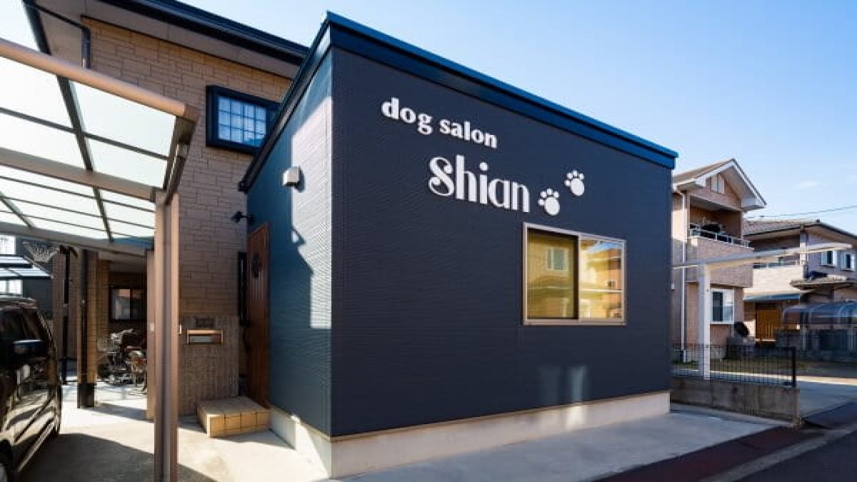 dog salon shian
