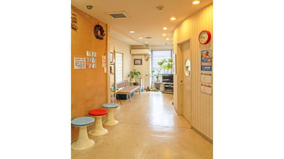 マリン動物病院