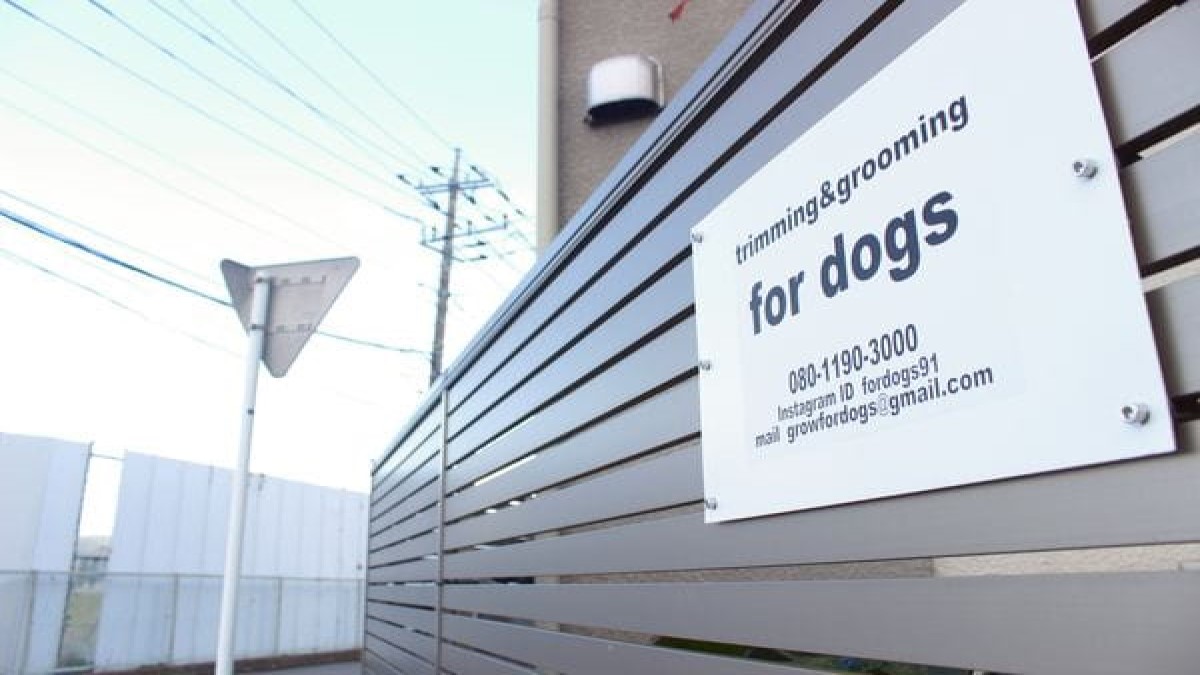 for dogs（小田原市）