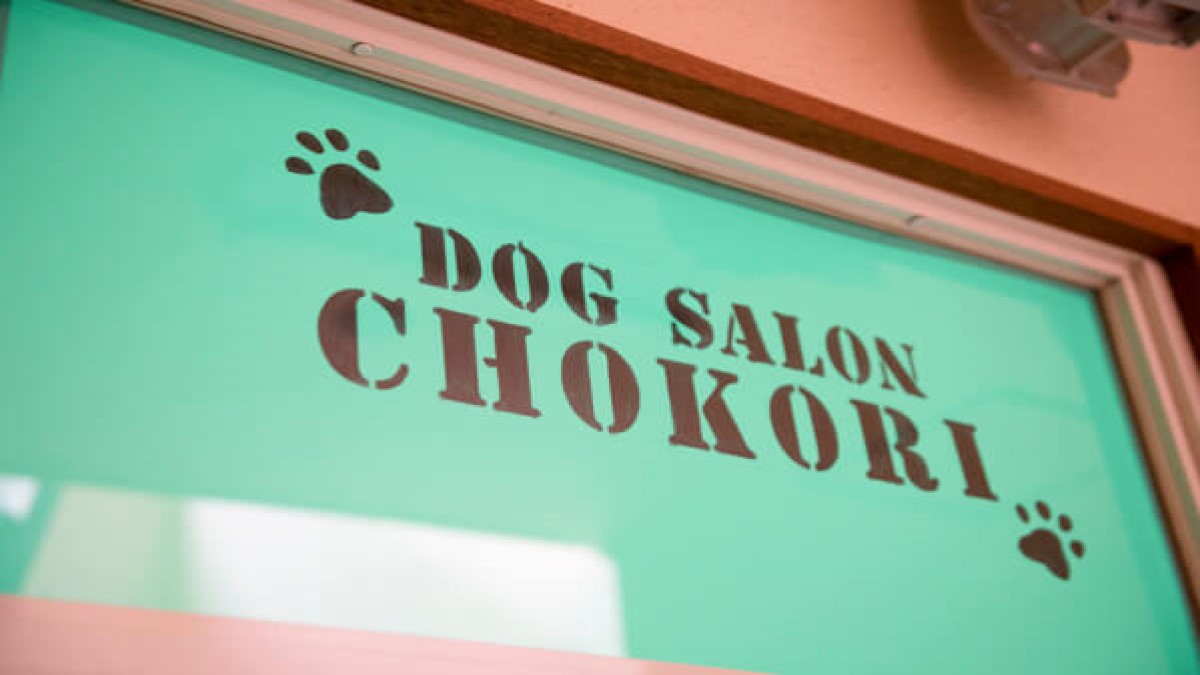 Dog Salon CHOKORI
