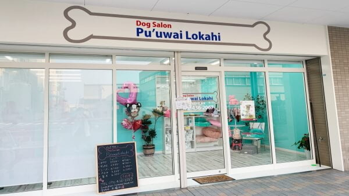 DogSalon Pu'uwaiLokahi
