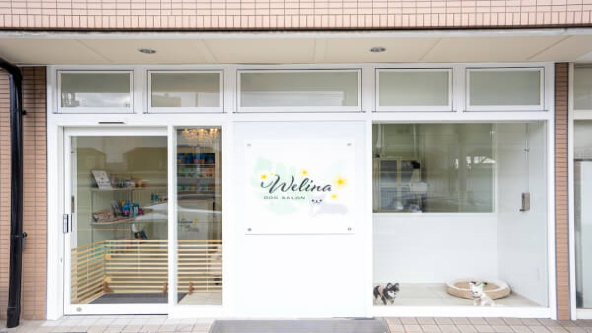 Dog Salon Welina