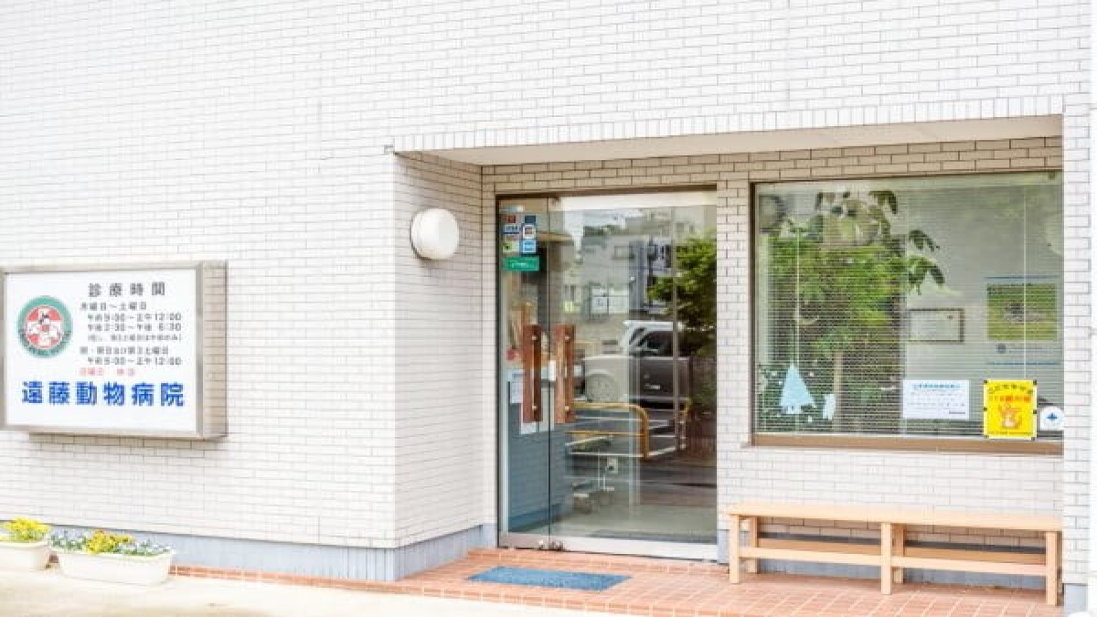 遠藤動物病院