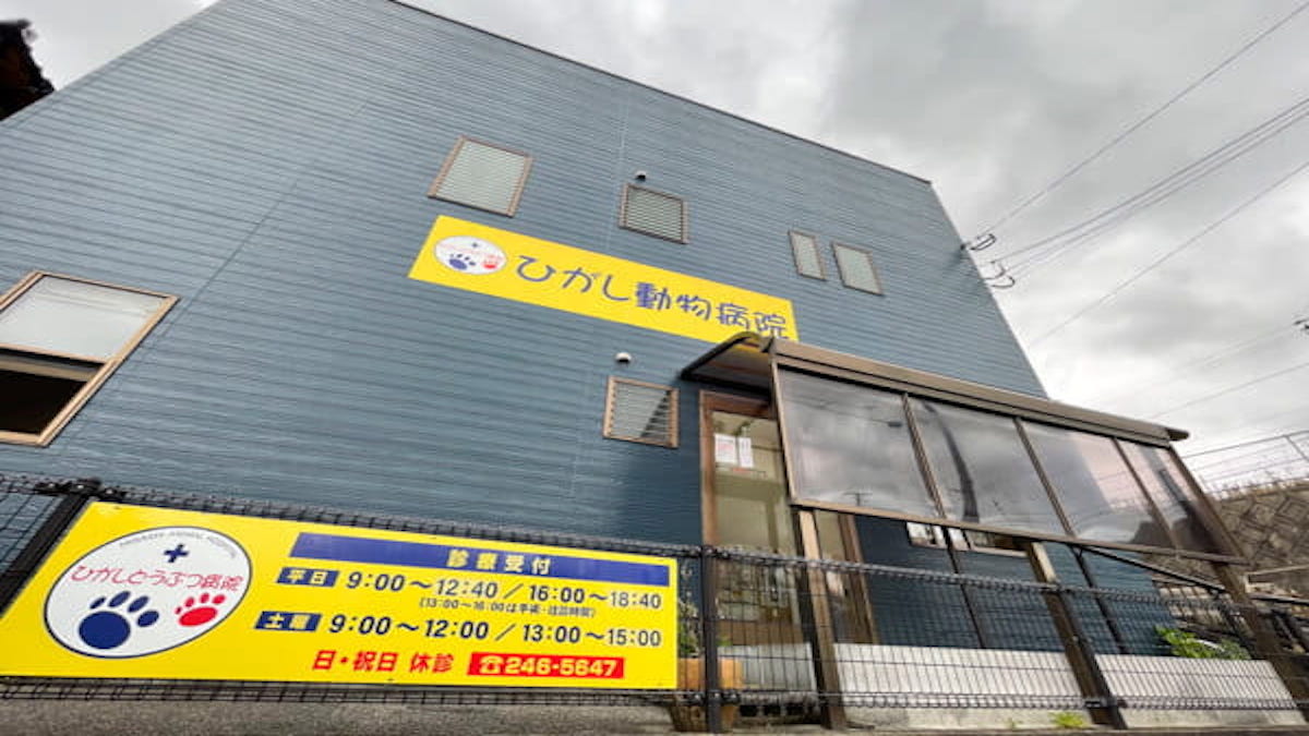 ひがし動物病院