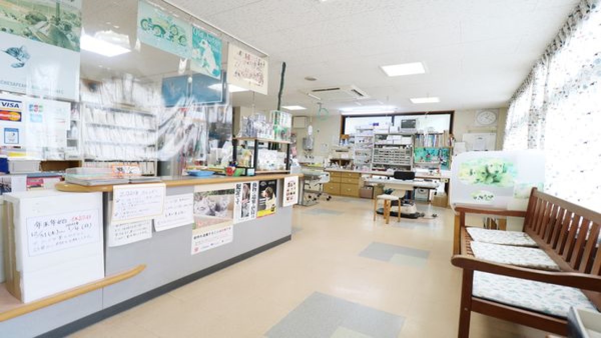 豊川動物病院