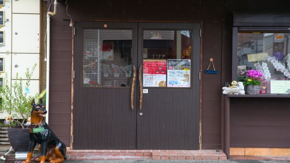 犬の美容室 わんなっぷ