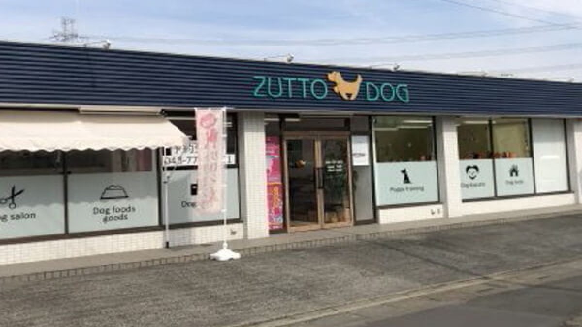 ZUTTO DOG