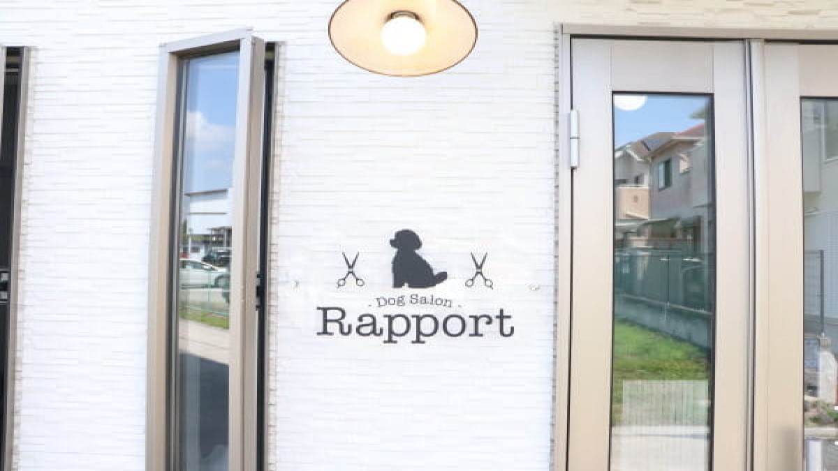 DogSalon Rapport