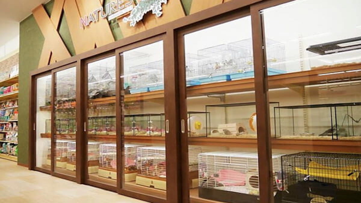 相模原市緑区でおすすめのペットホテル【2選】 PETPET LIFE 相模原市緑区でおすすめのペットホテル【2選】 PETPET LIFE