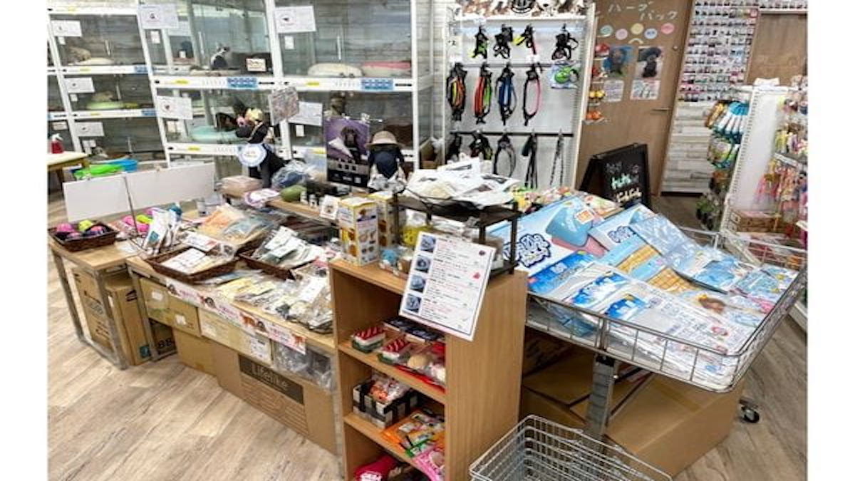 センチュリーペット湘南藤沢店