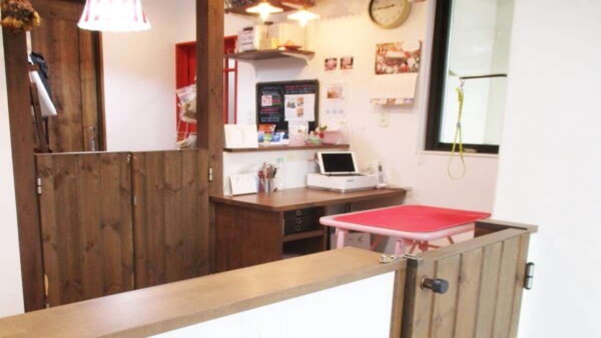 DogSalon colche