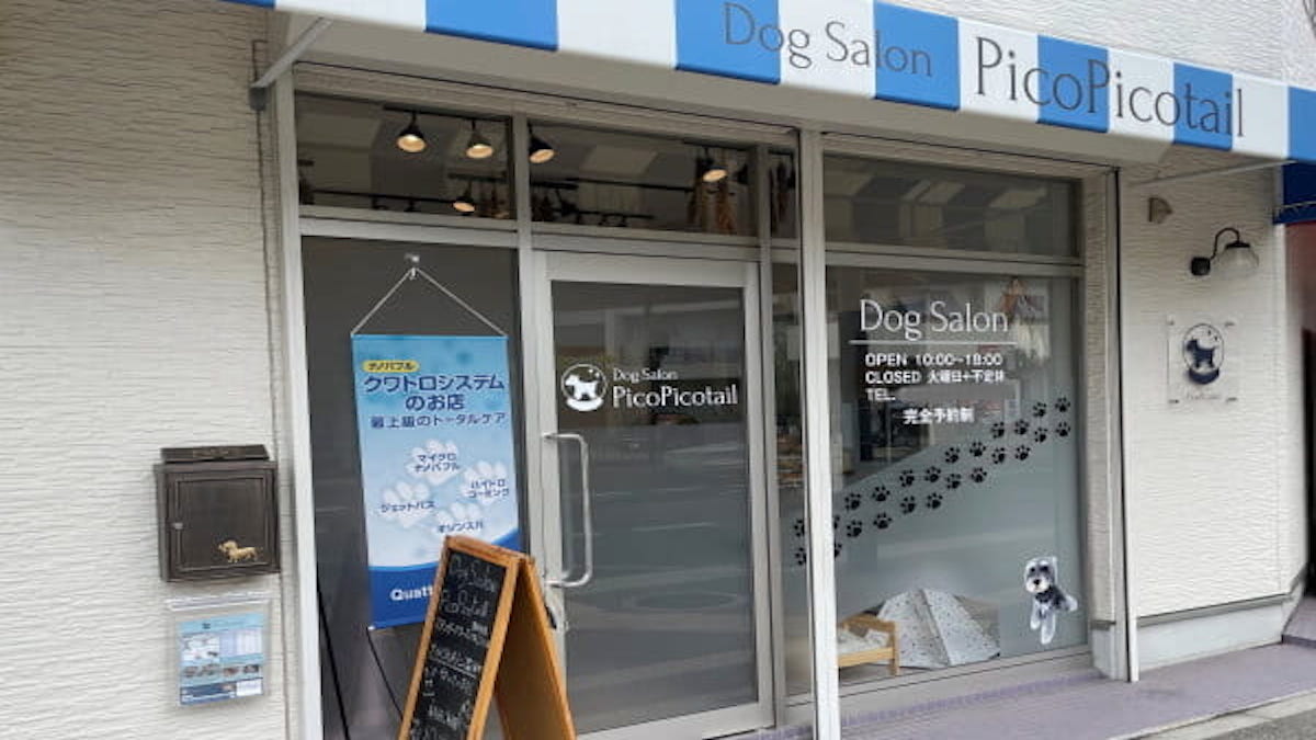 DogSalon PicoPicotail