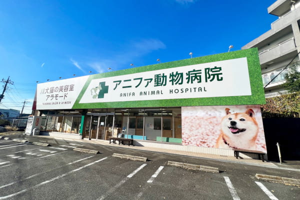 アニファ動物病院　松戸病院