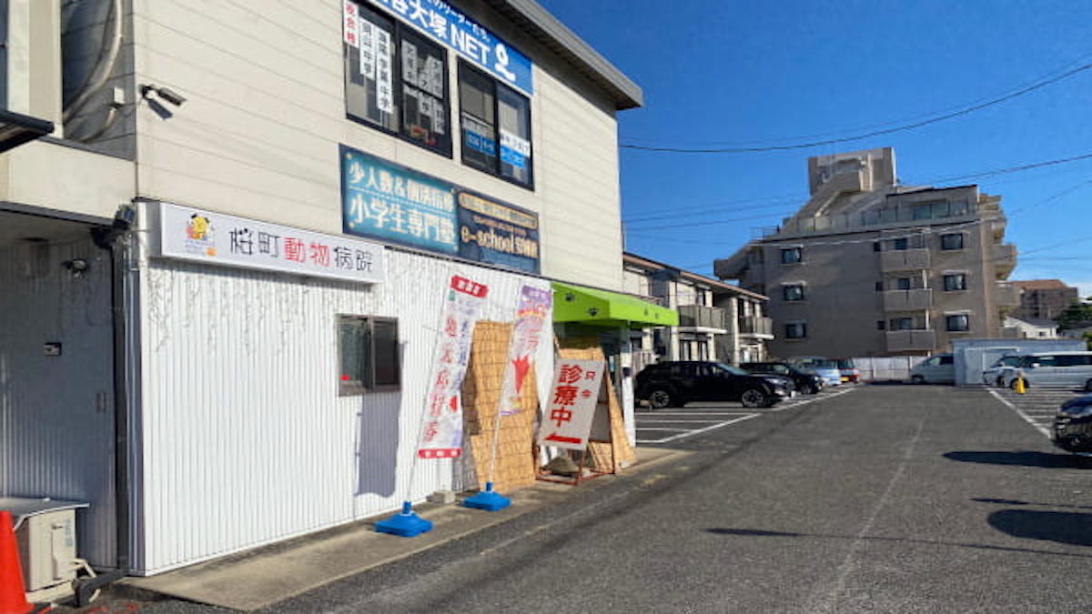 桜町動物病院