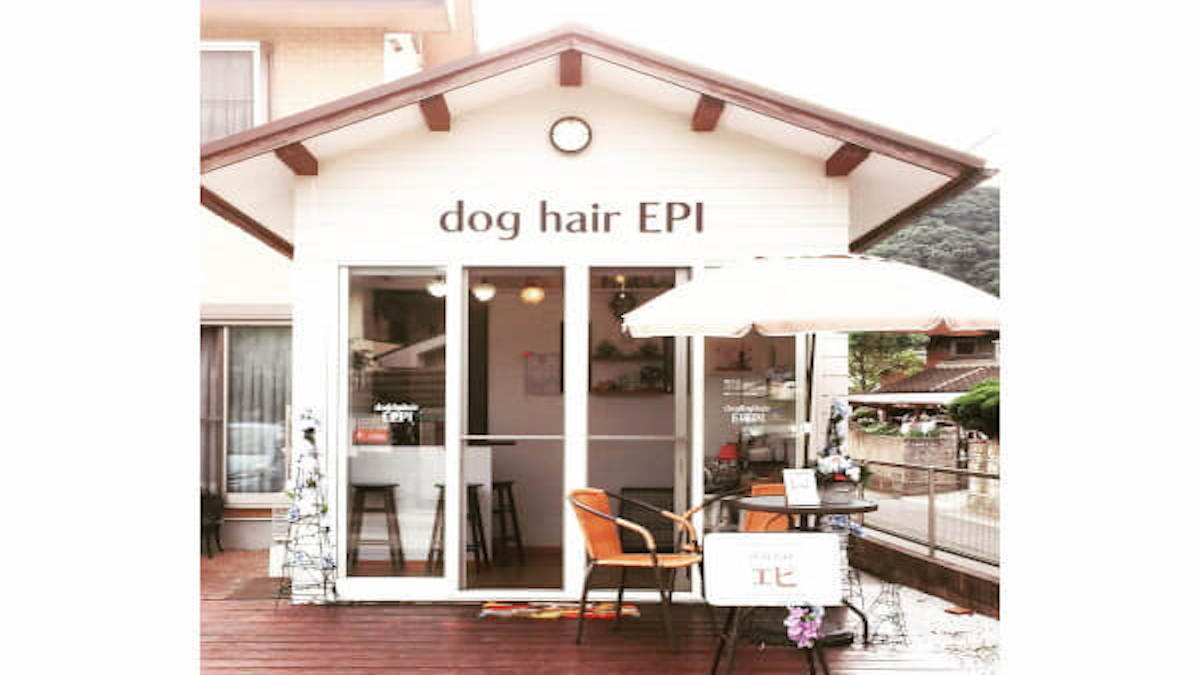 dog hair エピ
