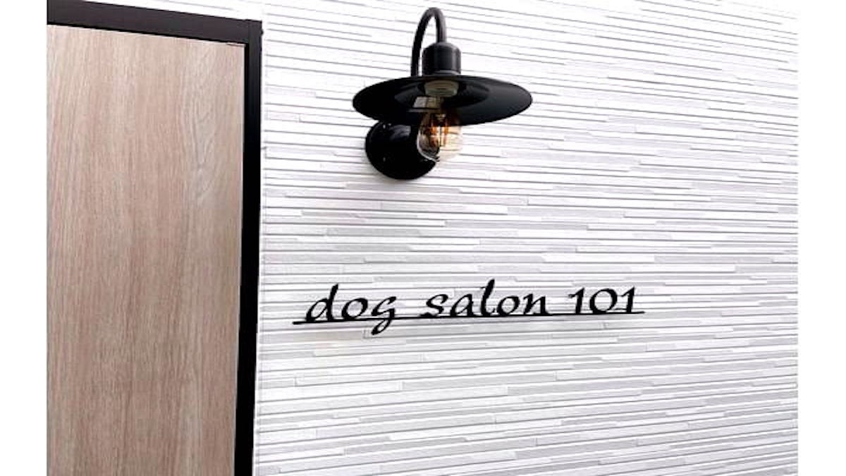 dog salon 101