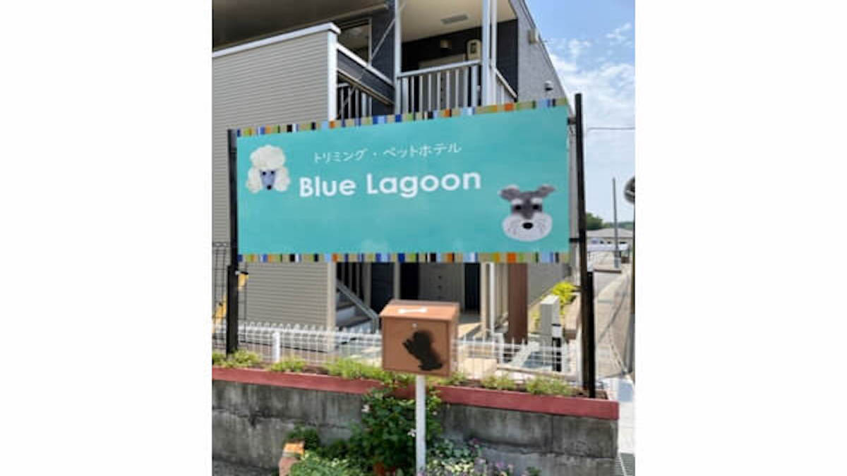 ドッグサロン Blue Lagoon