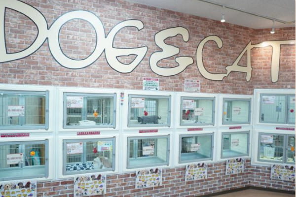 ペットコミュニティプラザ大島店