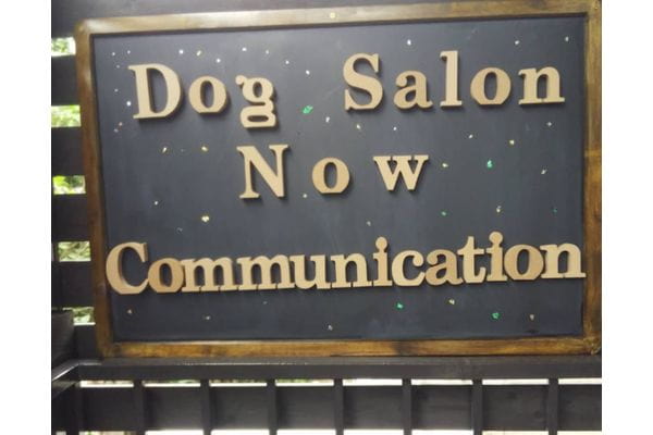Dog salon Now communication