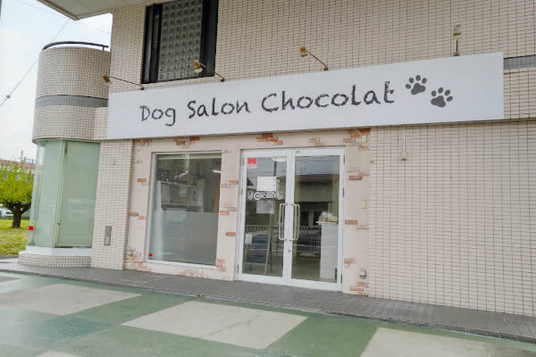 Dog salon chocolat