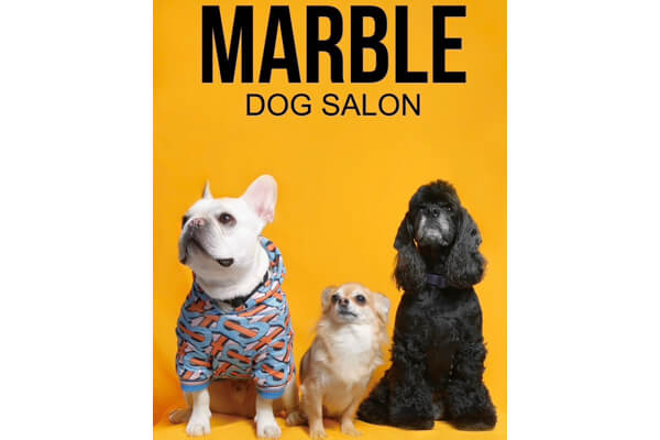 Dog Salon Marble