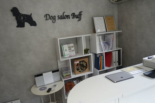 Dog salon Buff