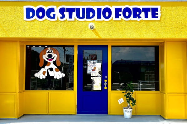 Dog studio ふぉるて
