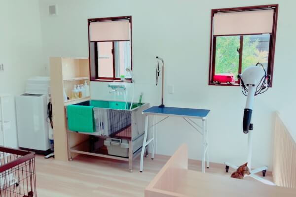 Dog Care Ruta