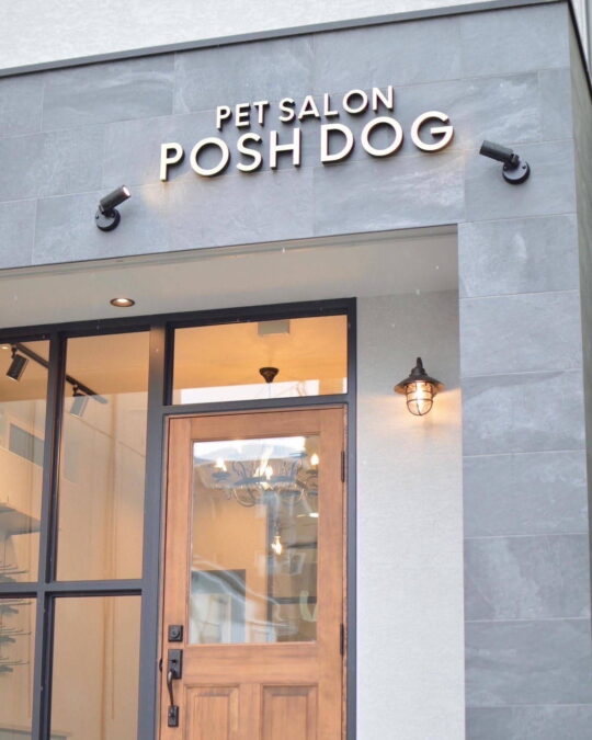 PETSALON POSH DOG