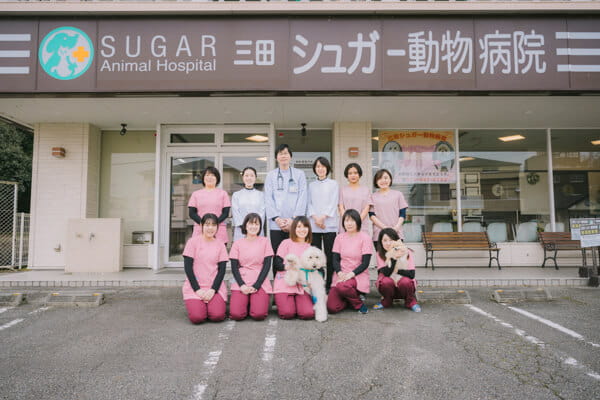 三田シュガー動物病院