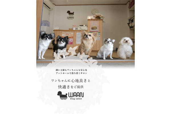 Dog salon WAAN/kobayashi