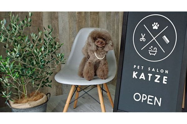 PET SALON KATZE