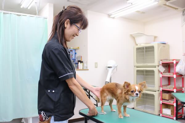 ペットスマイル サンロード蒲田